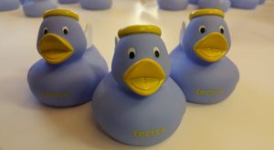 13521857_10202019654650570_1834277628818912927_n